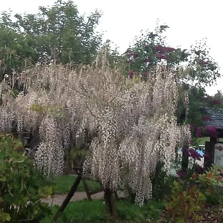 بيت للعطل Le Bois Rame