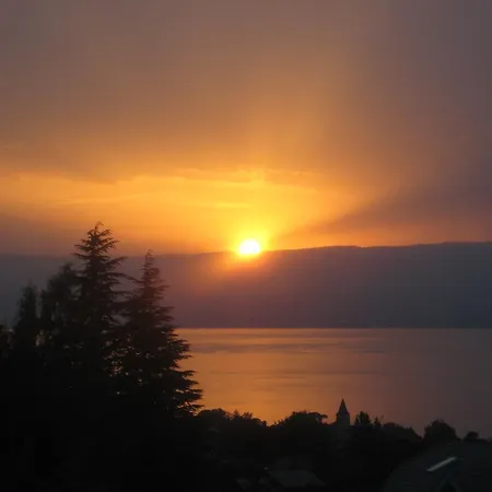 Le Bois Rame Neuvecelle