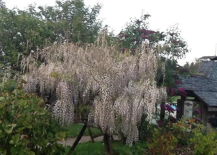 בית נופש Le Bois Rame